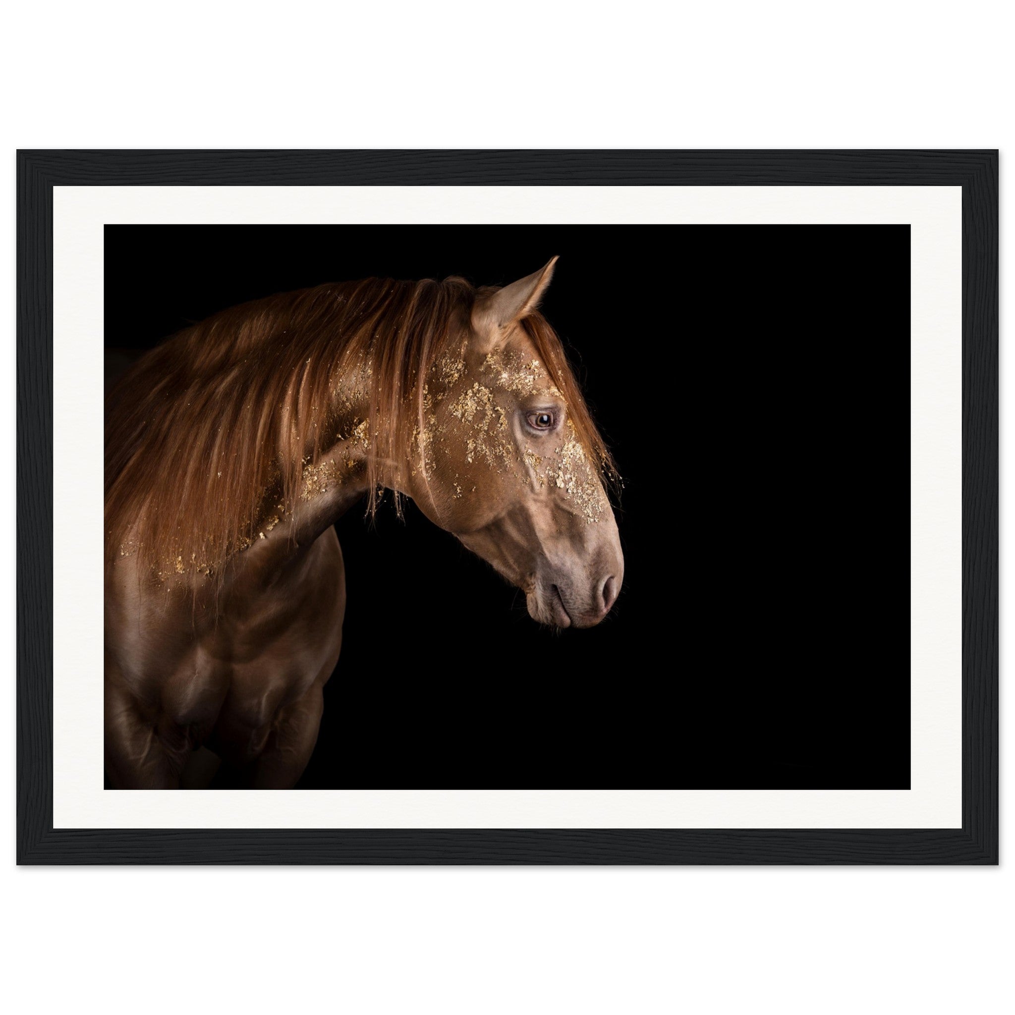 4634d5c2-b10a-4590-9795-f239851eb019