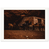 464d60f4-d619-45bc-ab23-5374df2f7f39