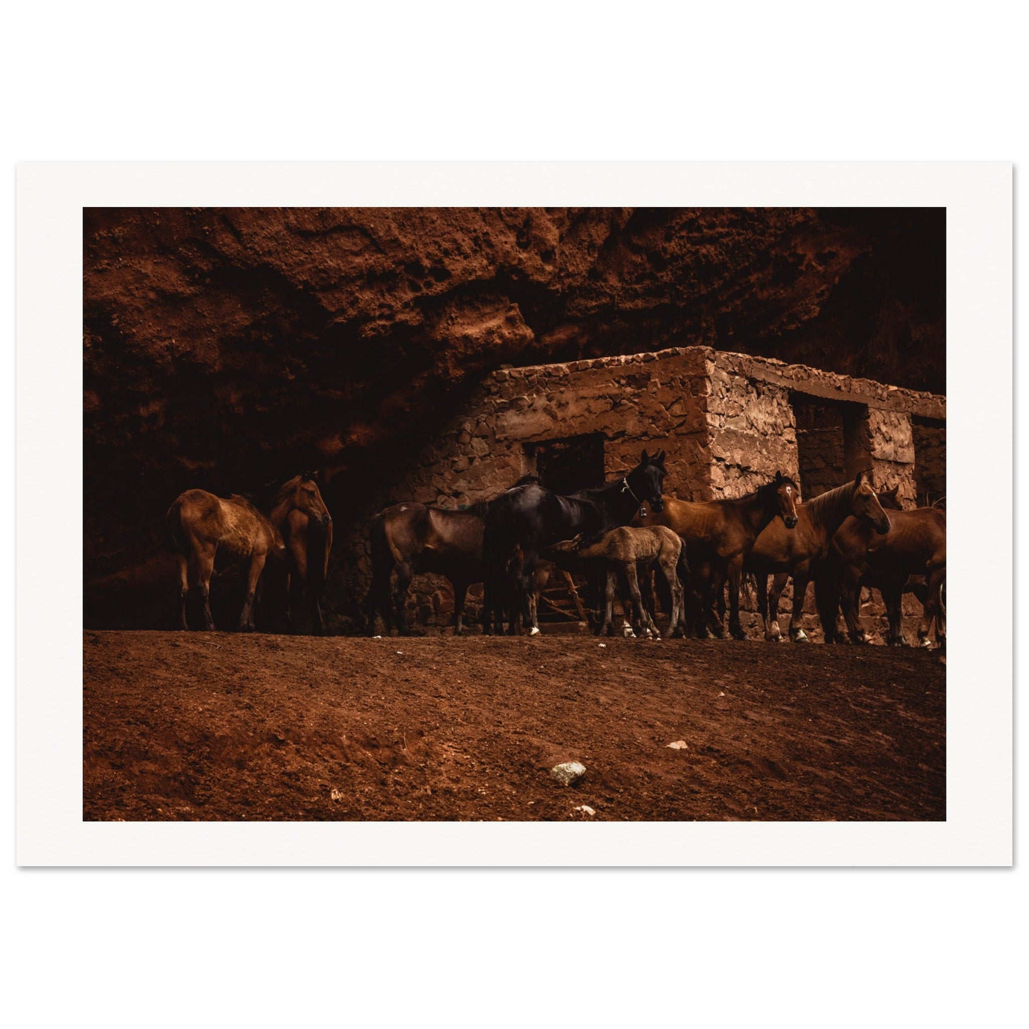 464d60f4-d619-45bc-ab23-5374df2f7f39