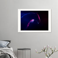 46551277-c8ff-45fa-9a2c-fc1cab078c59