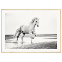 46b0fd6c-39c0-4814-88dc-a47f1074d629