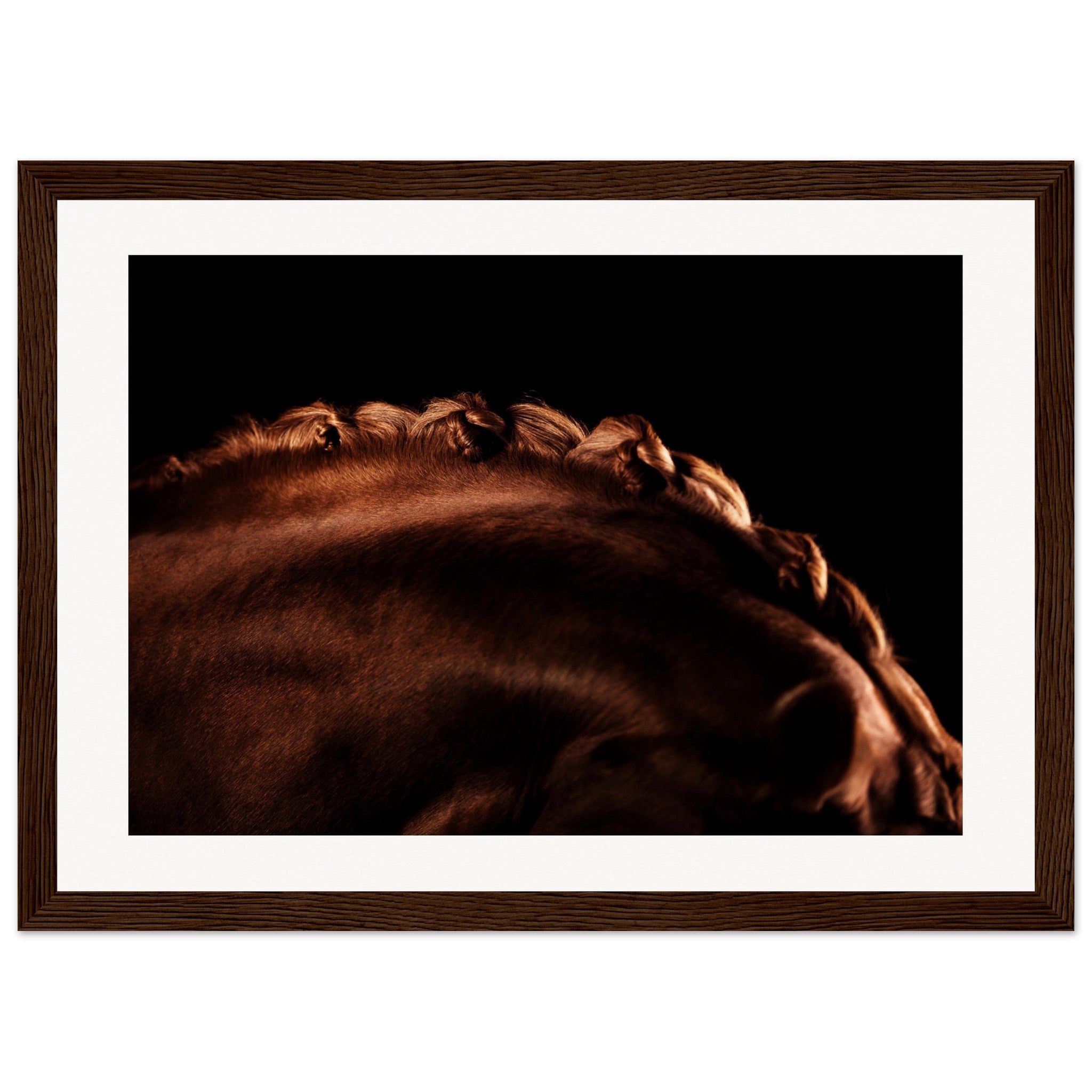 46c4a354-da87-42b2-ad4f-e9ca7d3fa20b