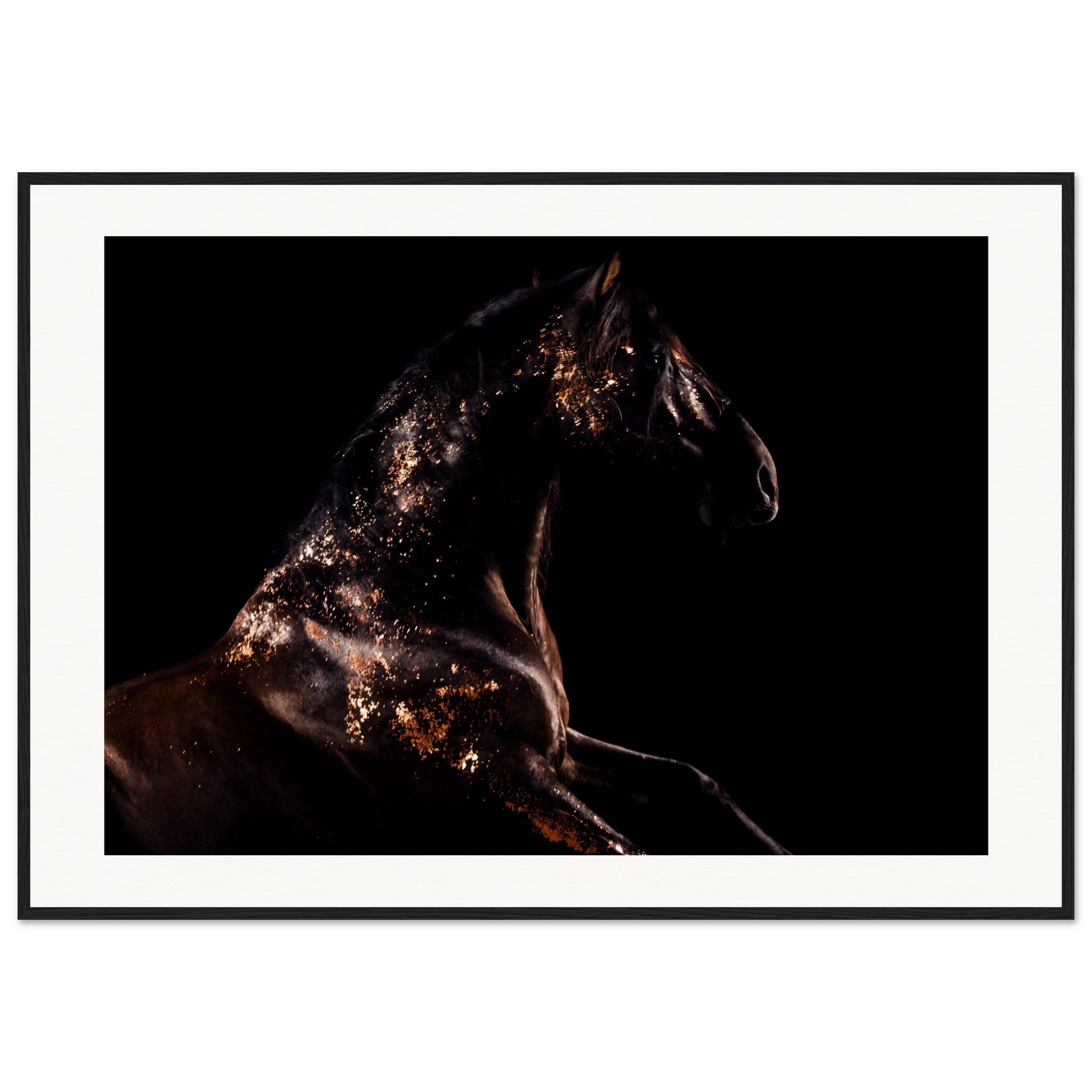 470d05f4-9d21-4ffb-98ba-7919cabe8f43