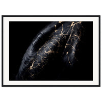 47406080-f807-4a4d-9855-ce30e28d2151