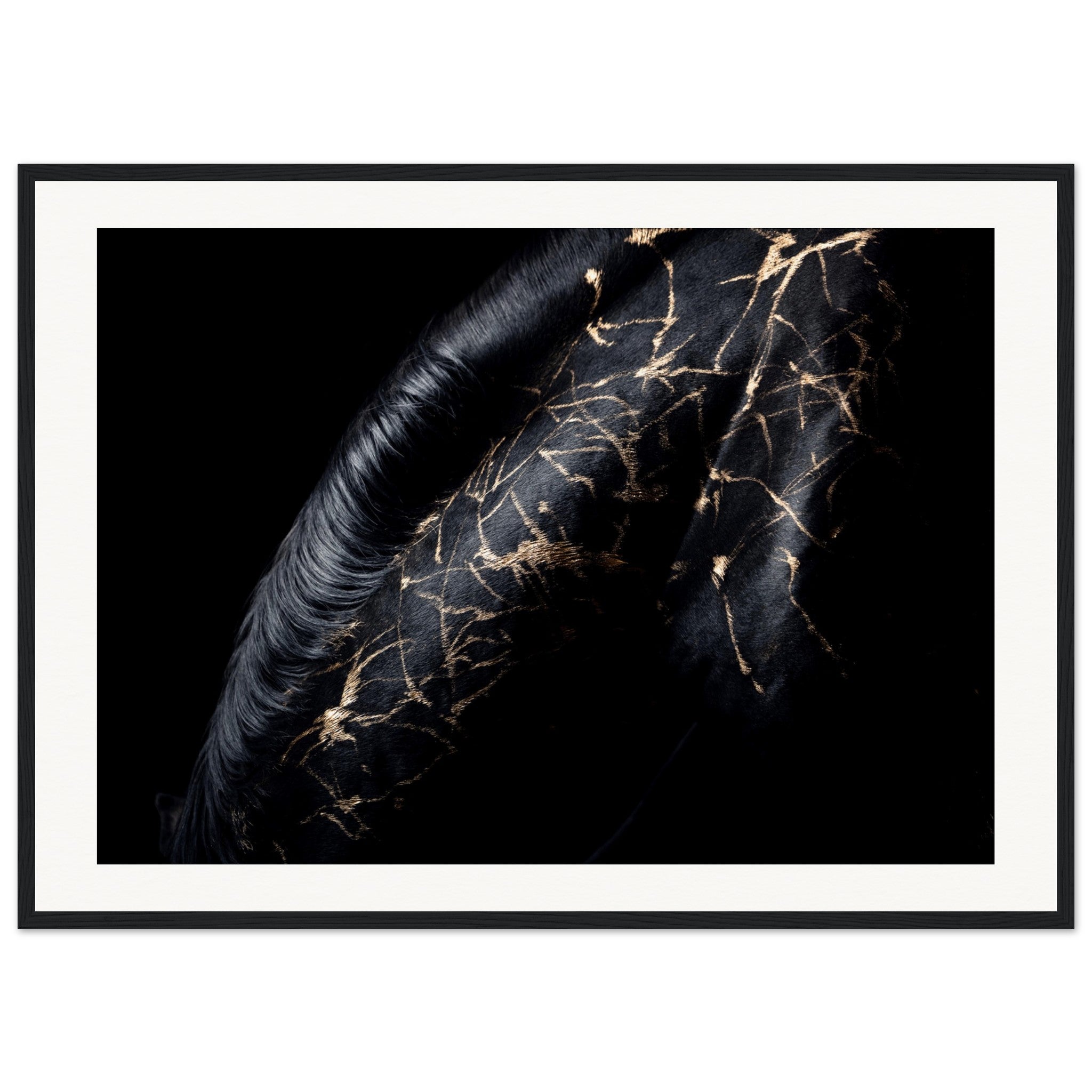 47406080-f807-4a4d-9855-ce30e28d2151