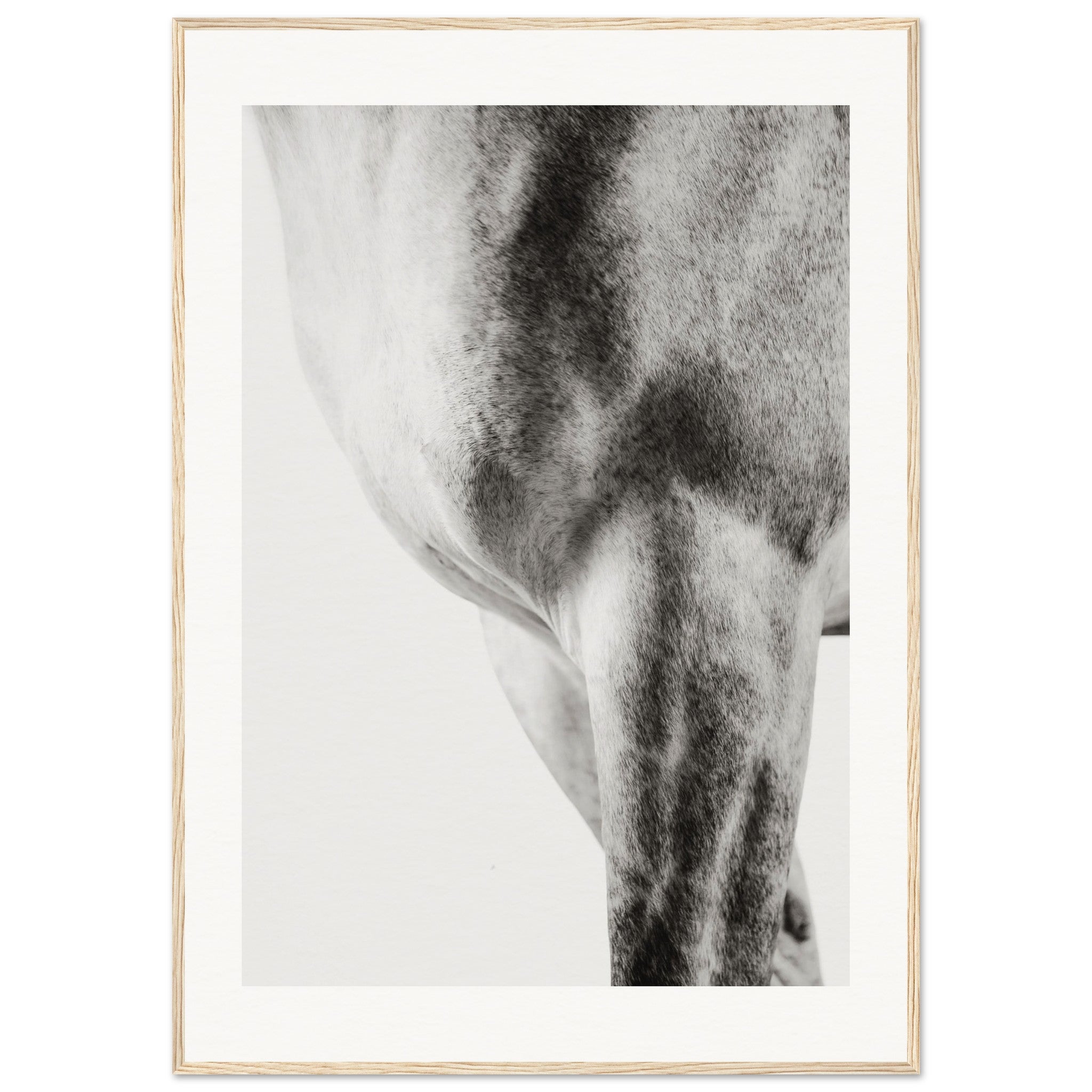 476a8f0a-b68d-400f-9d76-0e9579bde1dc