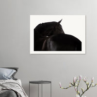 4779ffef-ad46-4d9c-908f-9f91f8314c23