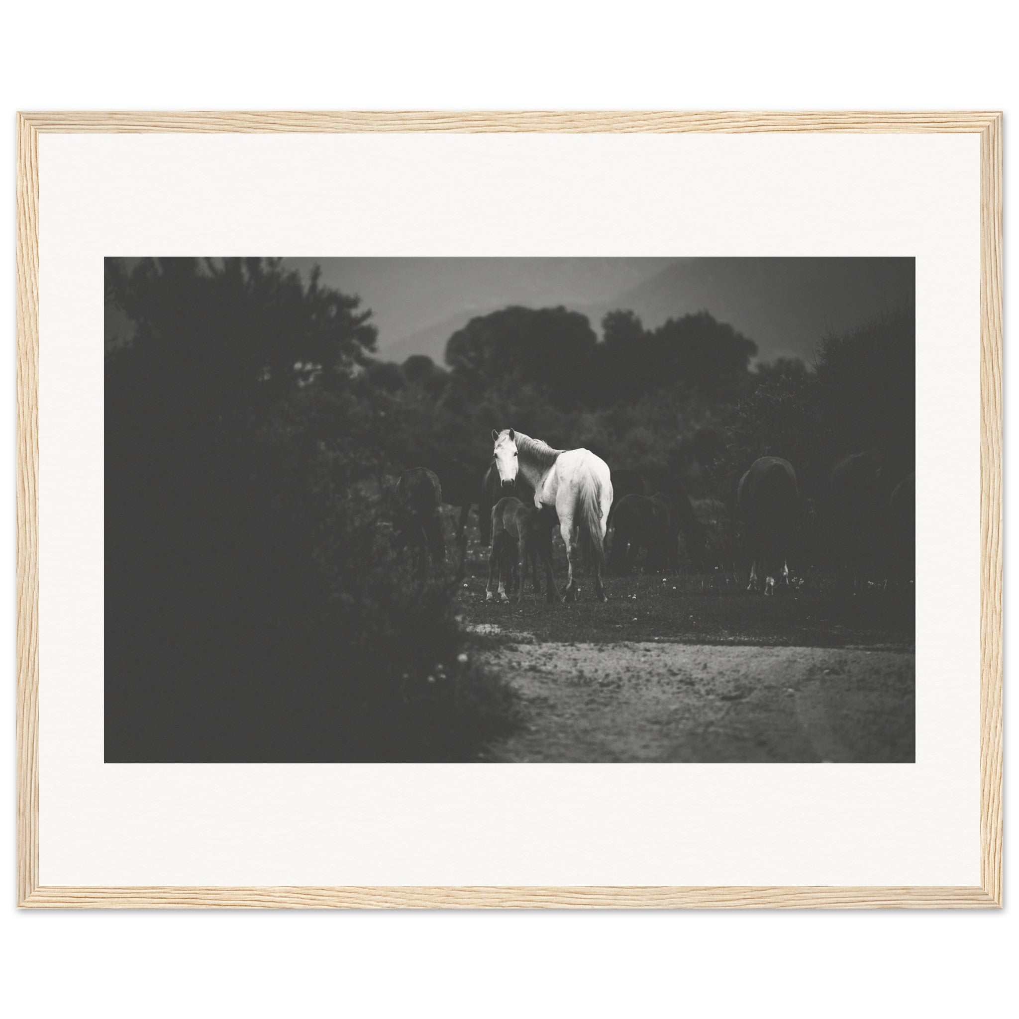 477df55f-b1ec-4115-8a52-e91ae16be496