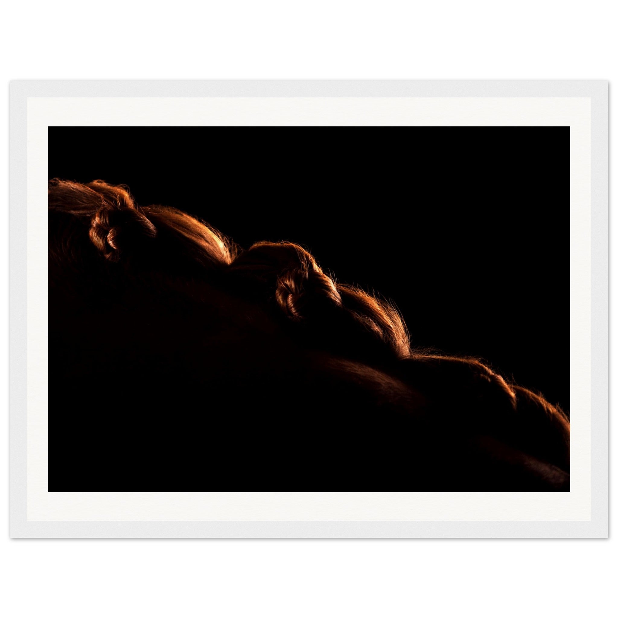 4786c275-00be-4739-bd93-5f31a8a29824