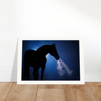 47891929-4059-4176-b0ed-11f59fad10e9