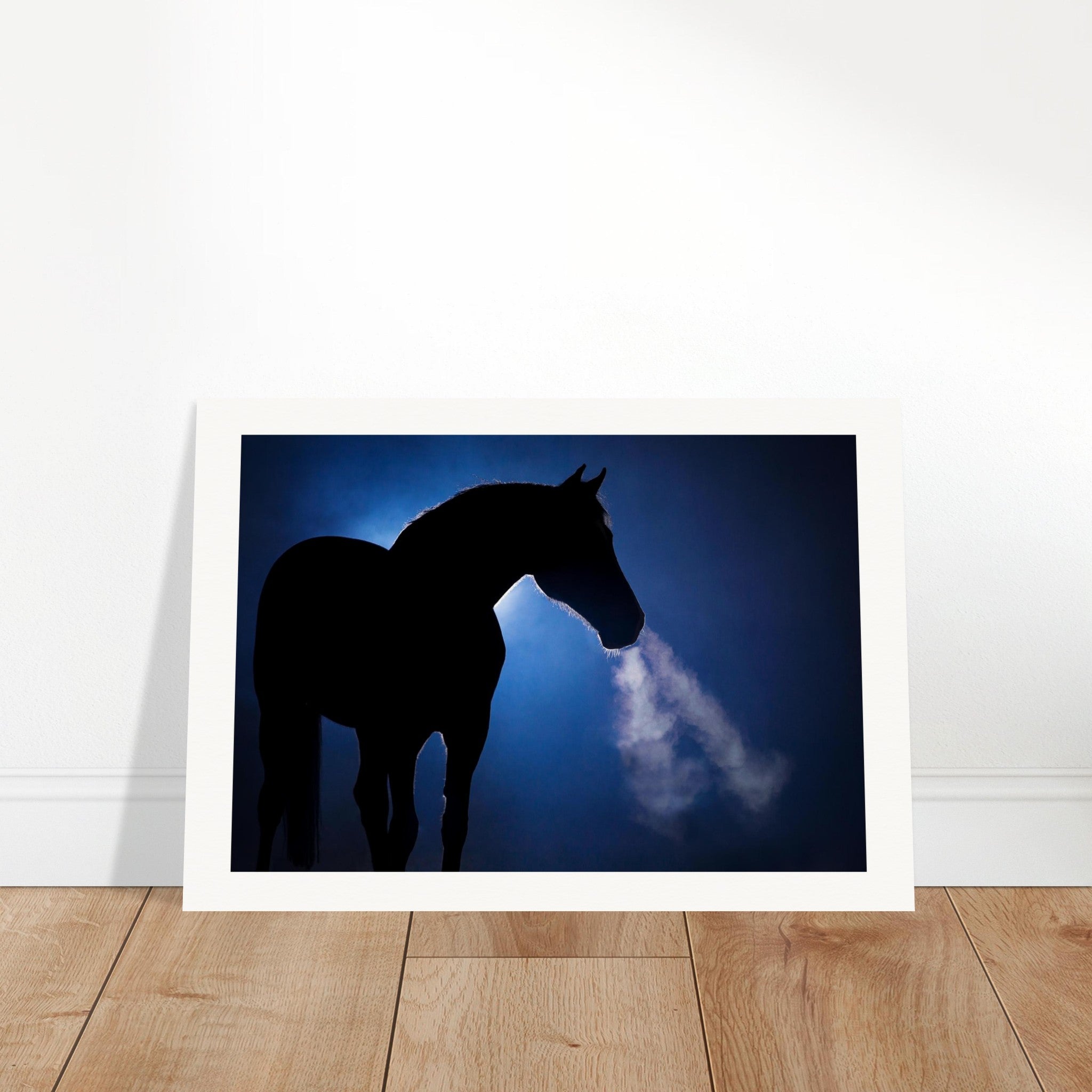 47891929-4059-4176-b0ed-11f59fad10e9