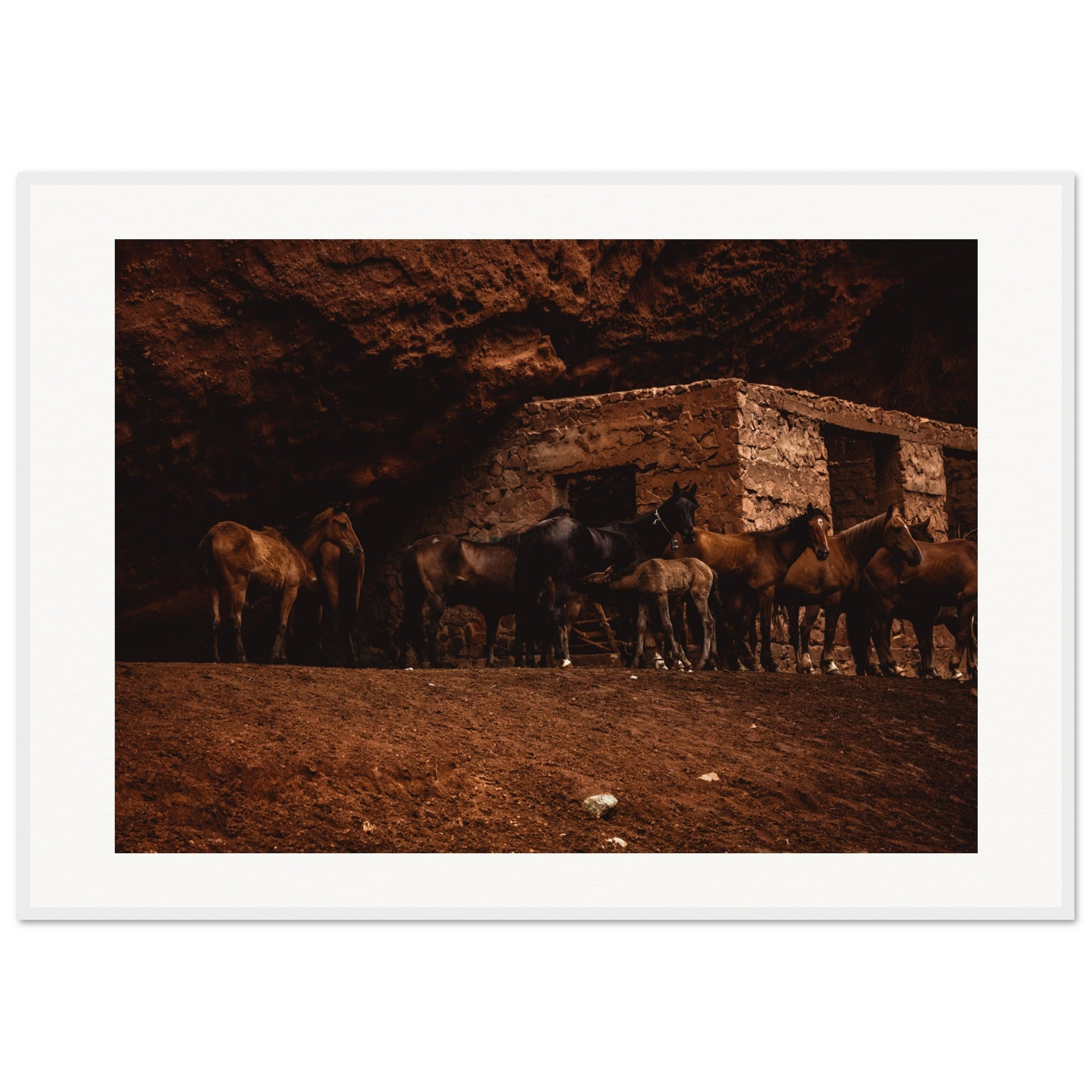 4795c134-257d-48c5-99bf-632c83aace8e