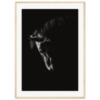 479790e8-0e35-43ce-8d79-a88587913906