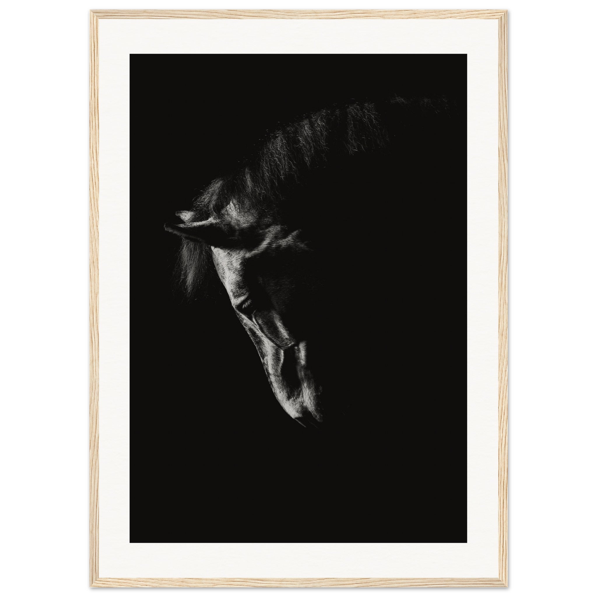 479790e8-0e35-43ce-8d79-a88587913906