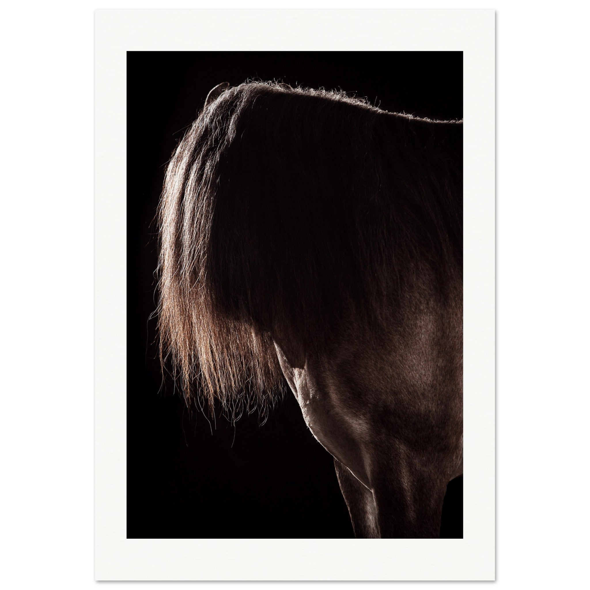 47e35f50-a07b-4a01-921a-d5207b318814