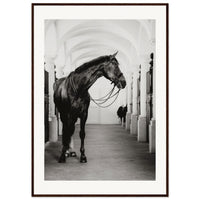 48038582-17e8-4d48-8891-a8c5a5c7f3dd