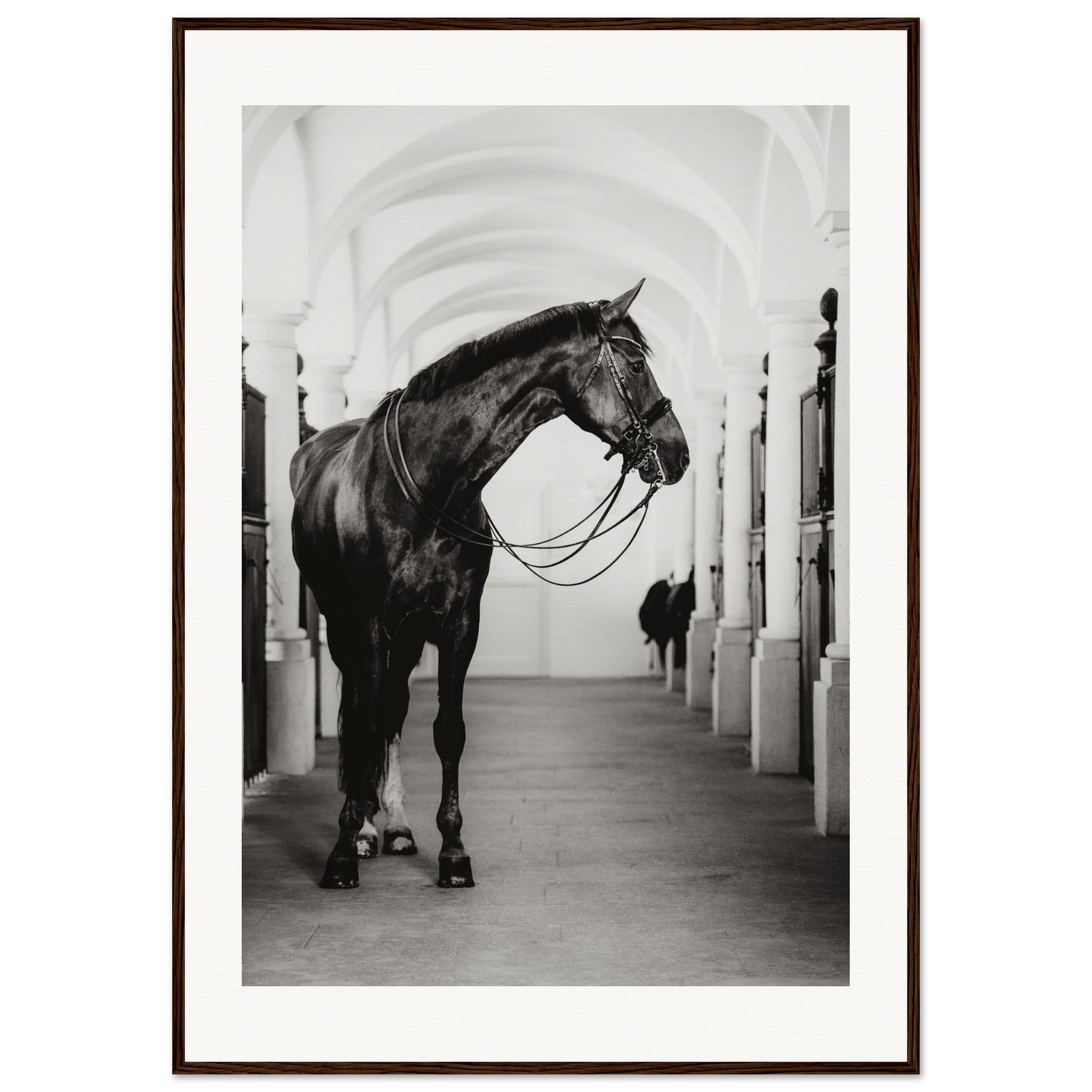 48038582-17e8-4d48-8891-a8c5a5c7f3dd