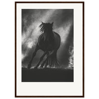 48879da5-48fe-4b0f-b13e-64cea176fa42