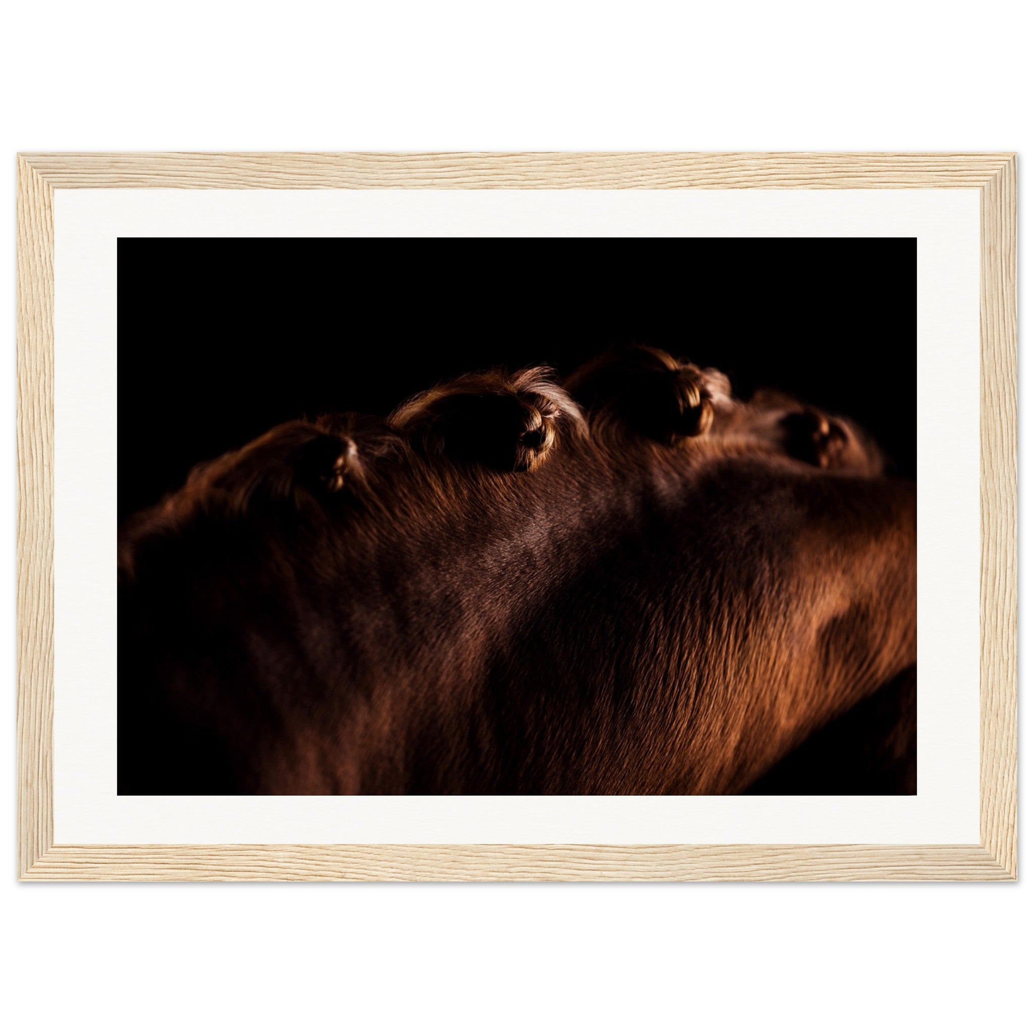 48a9920f-94f9-47d6-a387-5862bb23d82a