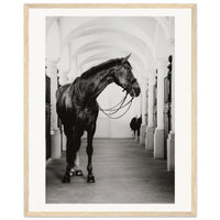 48b23646-db4e-4617-9646-e9249d665021