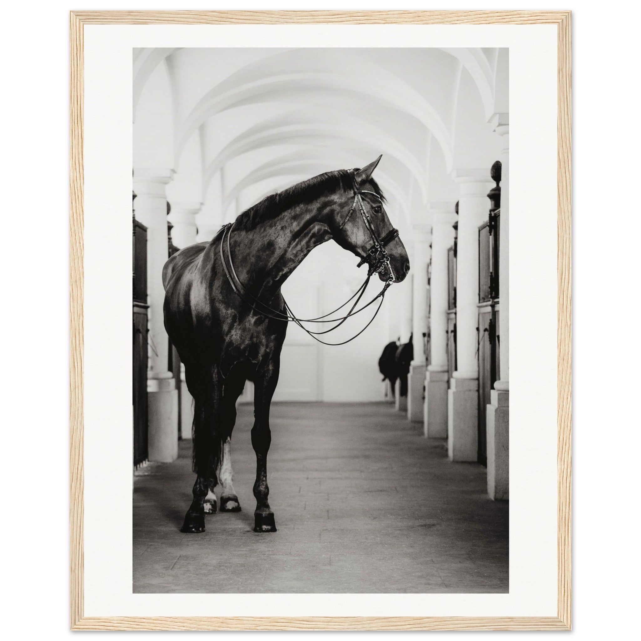 48b23646-db4e-4617-9646-e9249d665021