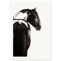 48b8eba9-bdae-4d33-826f-5e20f7447d57