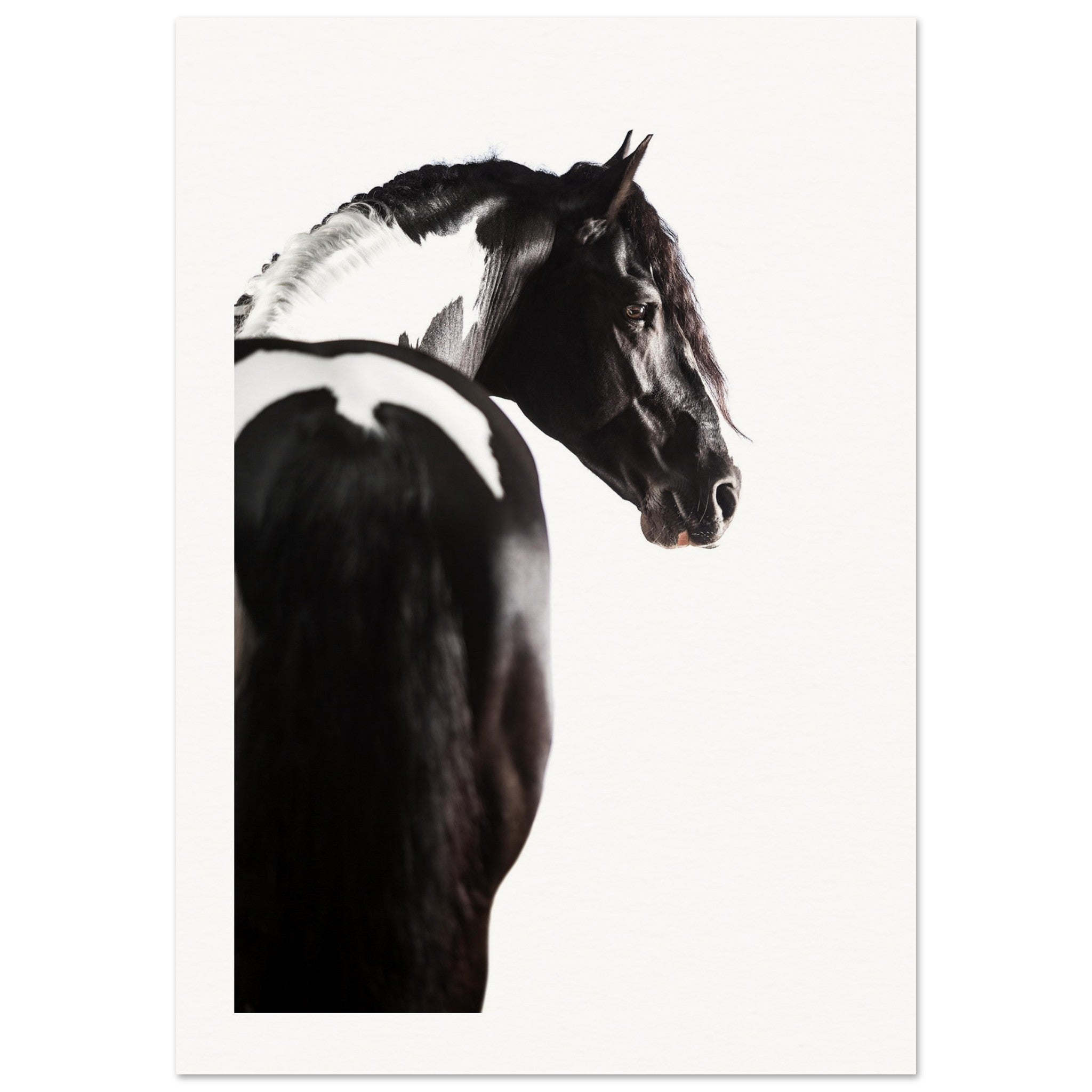 48b8eba9-bdae-4d33-826f-5e20f7447d57