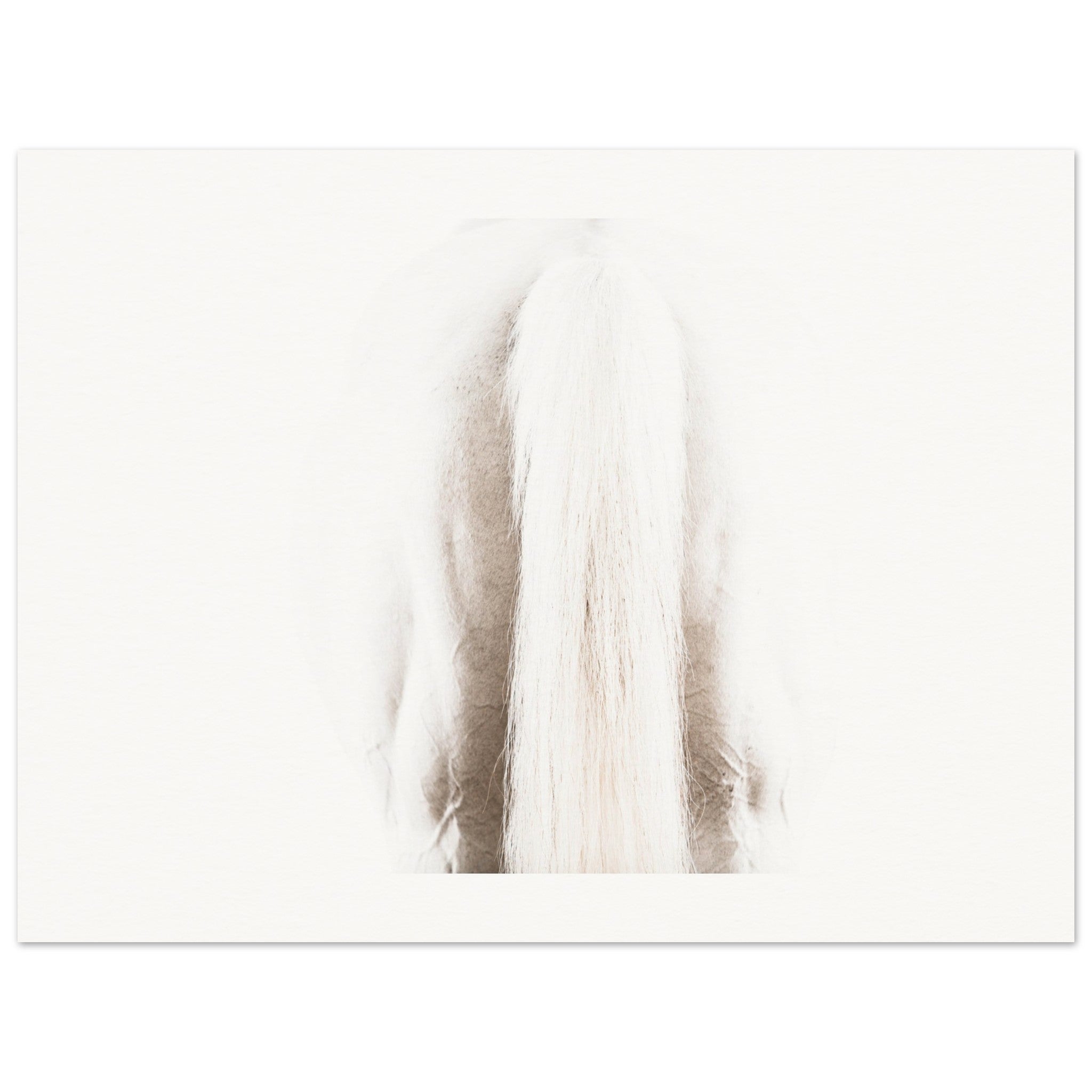 48dfae29-f119-427a-a863-525bdccc7db3