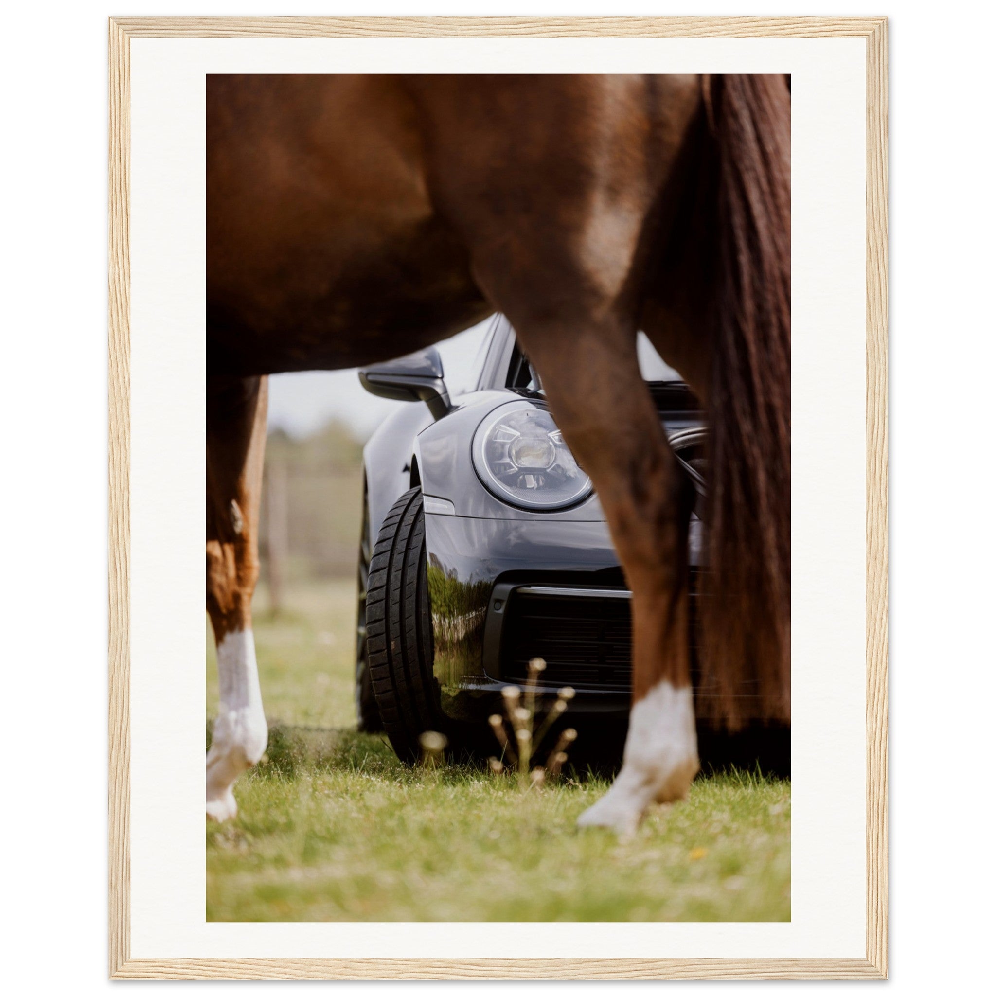 49564341-cdfd-49b8-a92b-704b6c8f9dff