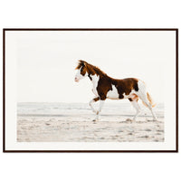 49578577-8637-4213-97cf-7a07e19cb8ad