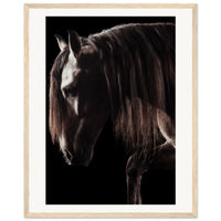 495efccd-cba0-4caa-9e4f-9e4a4252c814