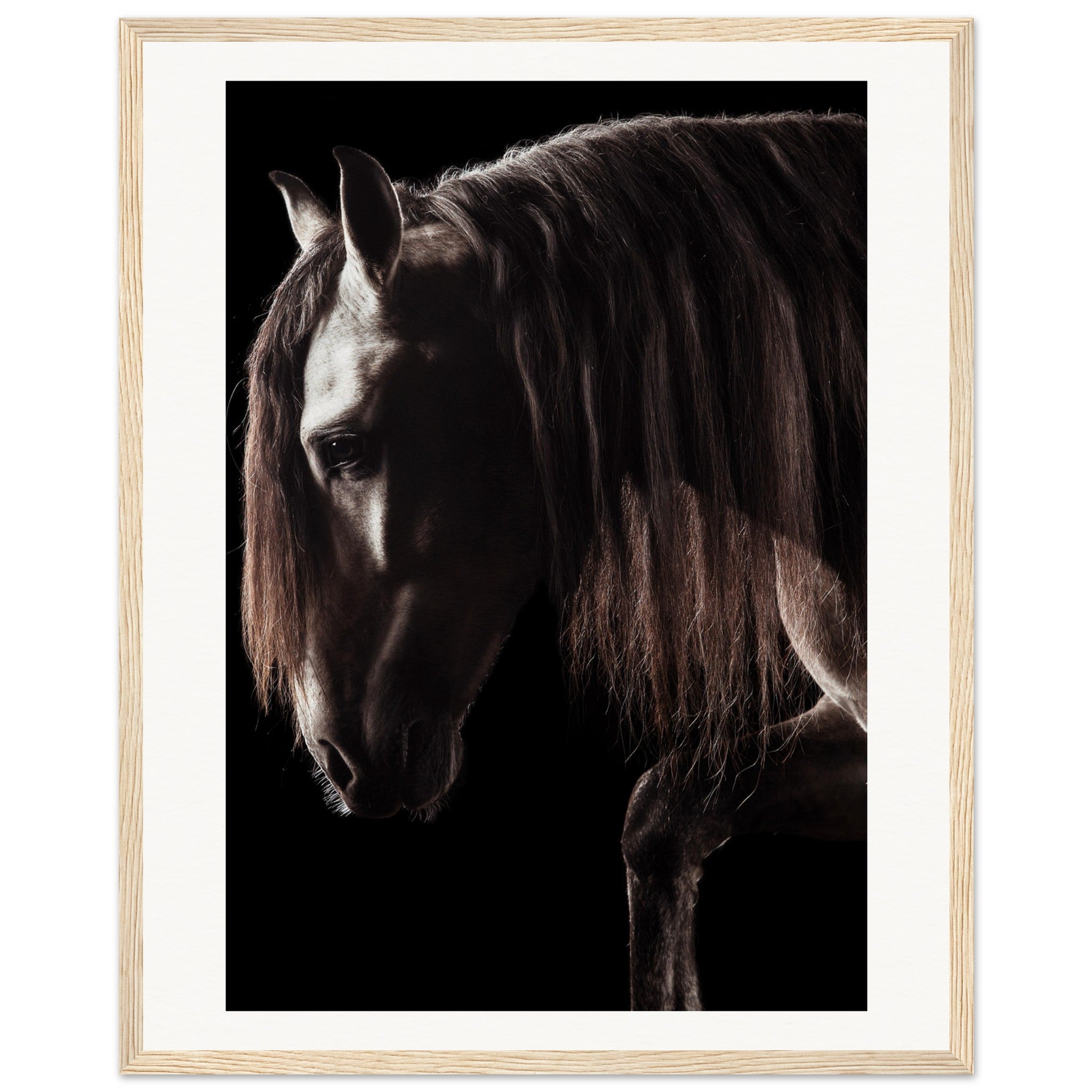 495efccd-cba0-4caa-9e4f-9e4a4252c814