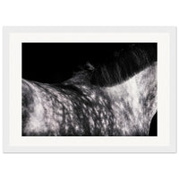 49606fee-900e-44e9-b2e6-bf0c25f36100