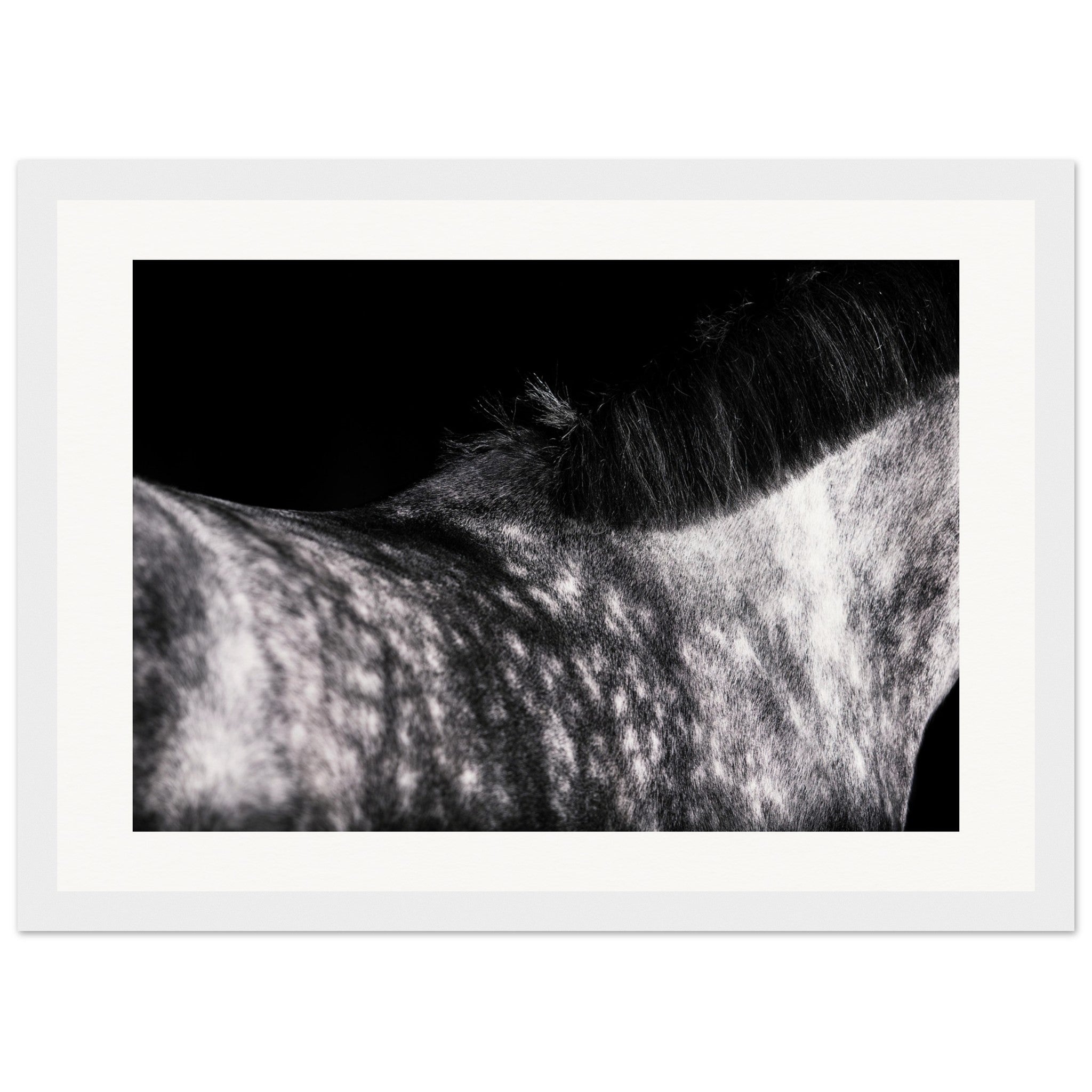 49606fee-900e-44e9-b2e6-bf0c25f36100