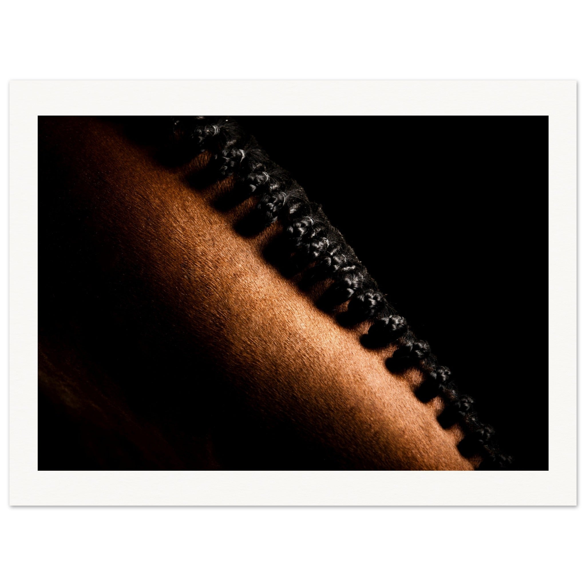 4963f496-3bd6-4351-97bb-1e07546087b9