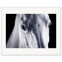 4985d761-06de-49be-96d5-55ec9ba7a809