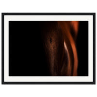 499afe39-f7ac-4b2a-a6a3-315856429edf