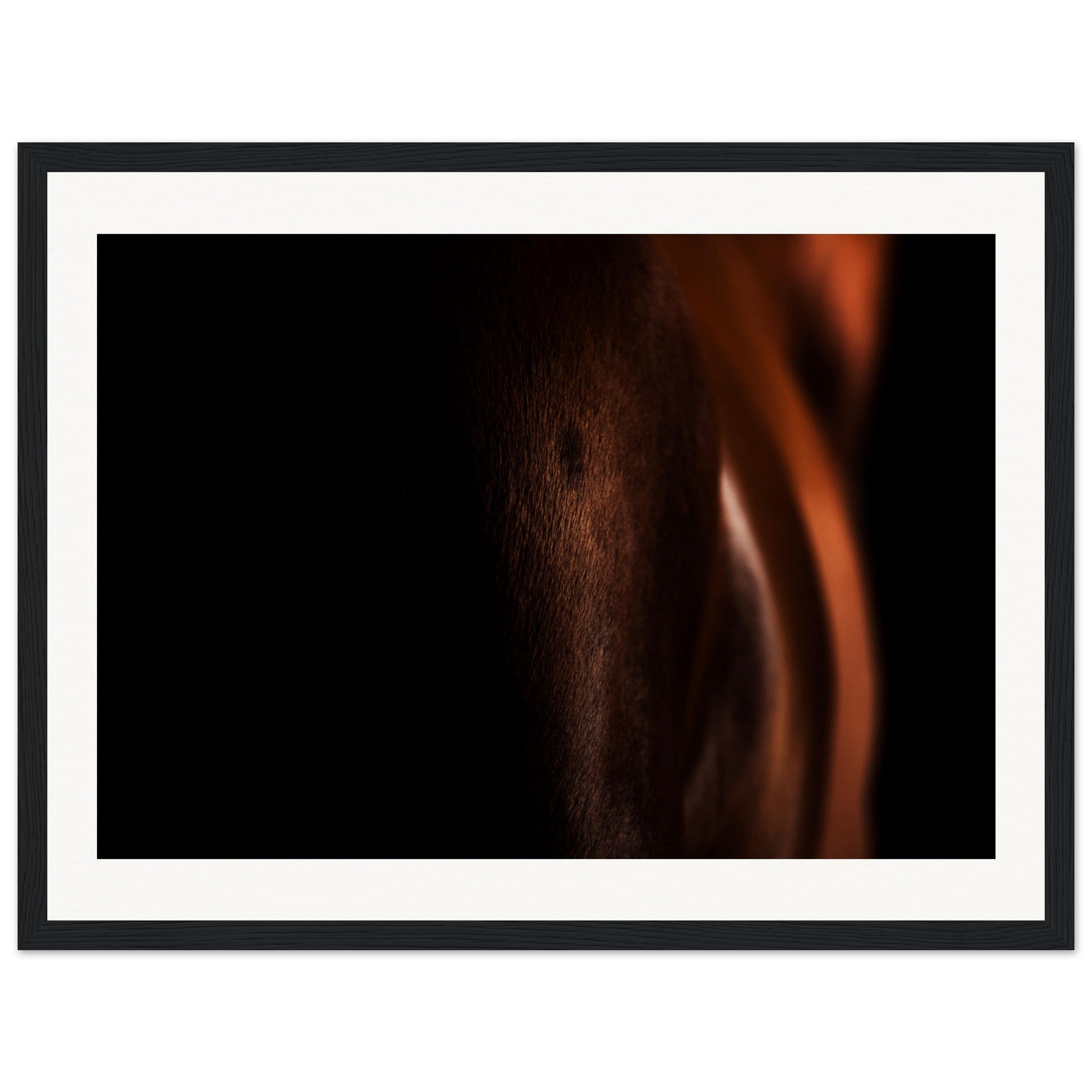 499afe39-f7ac-4b2a-a6a3-315856429edf