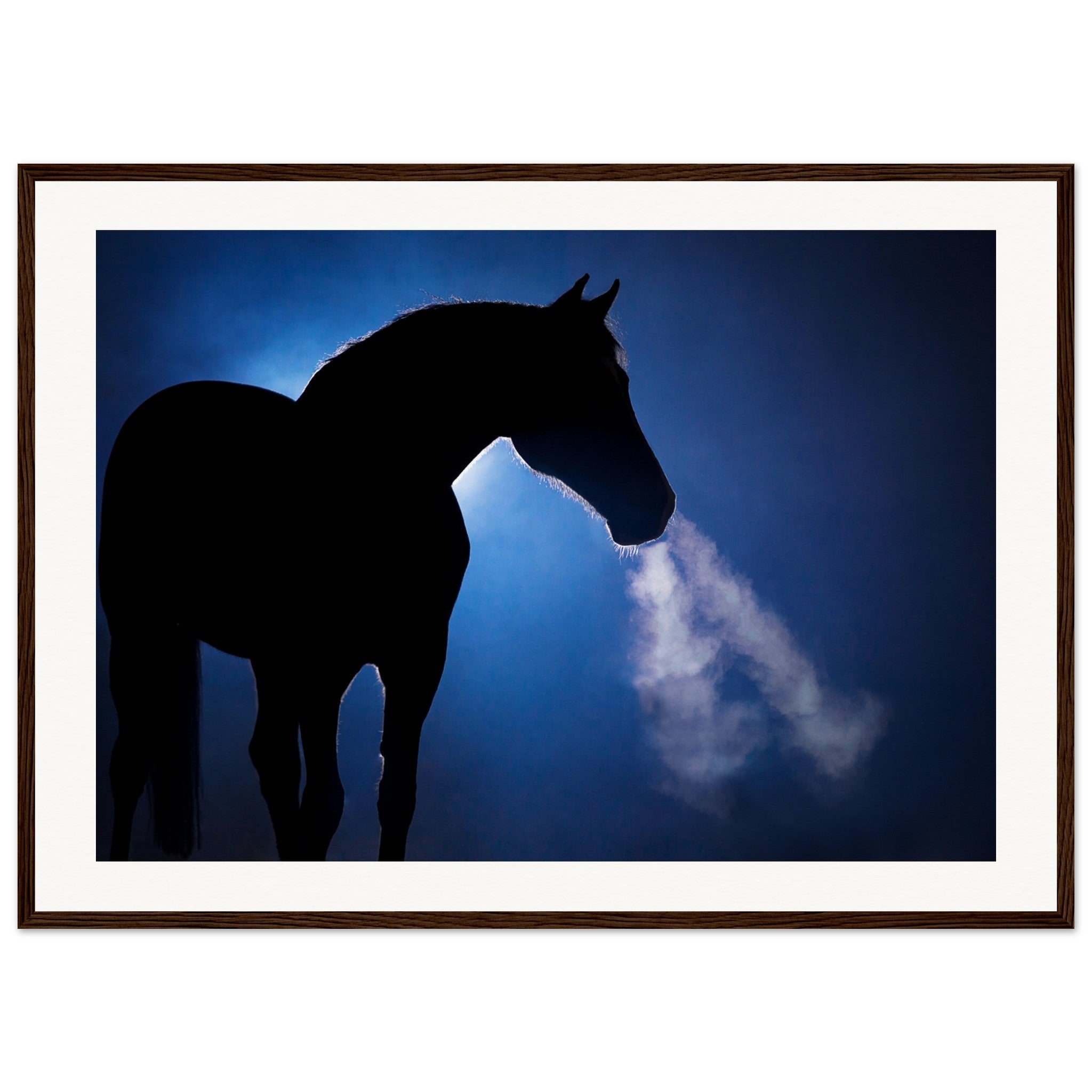 49bf0362-e19a-4b73-bc42-8a8273351395