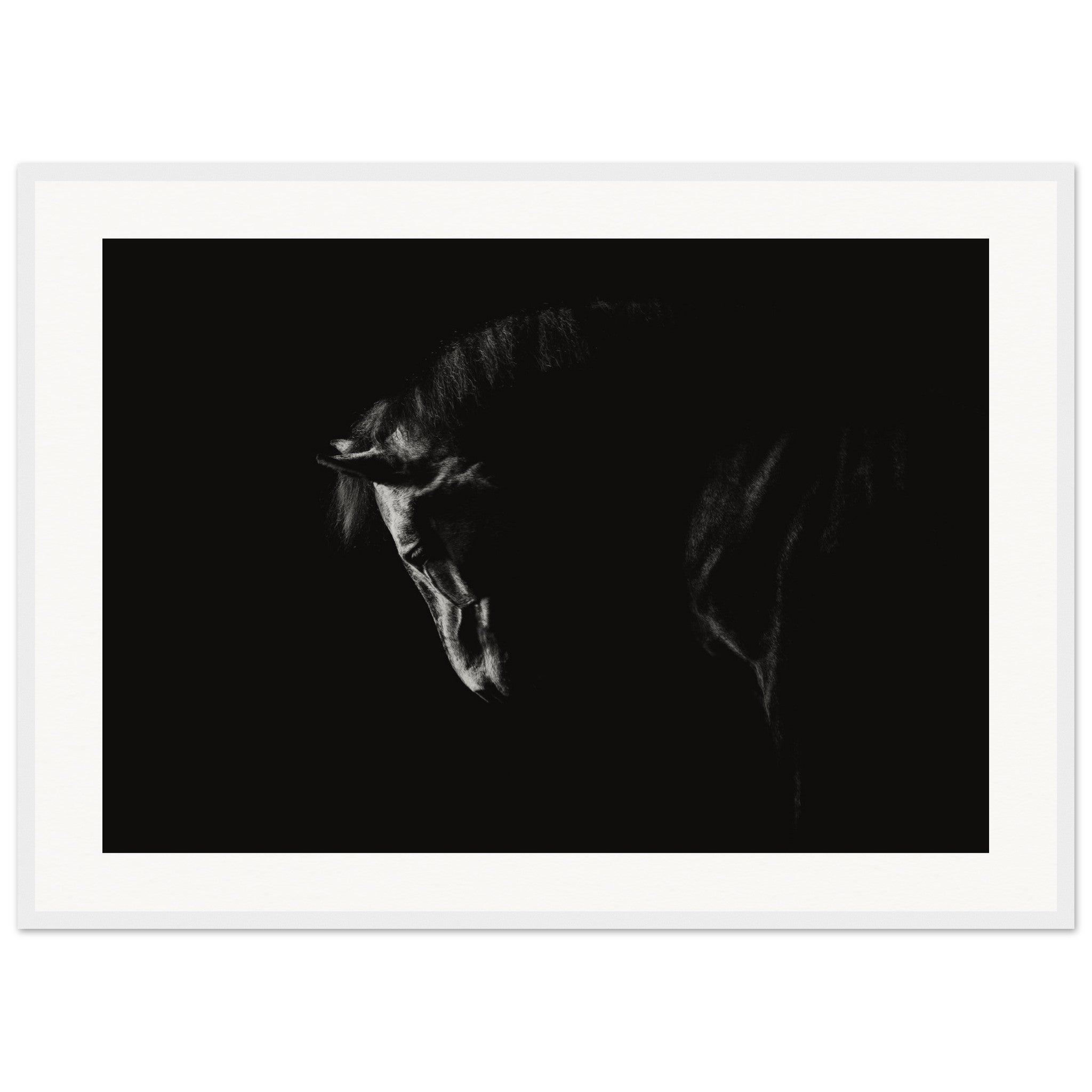 4a2564a2-03a9-4179-a2b9-a8954fd3c60d