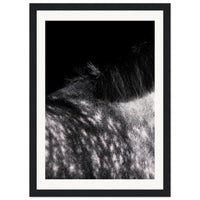 4a460105-72c8-426b-b104-cb022d33cdd4