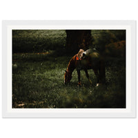 4a570e62-edd2-46cc-a4c7-b90a0b34ed55