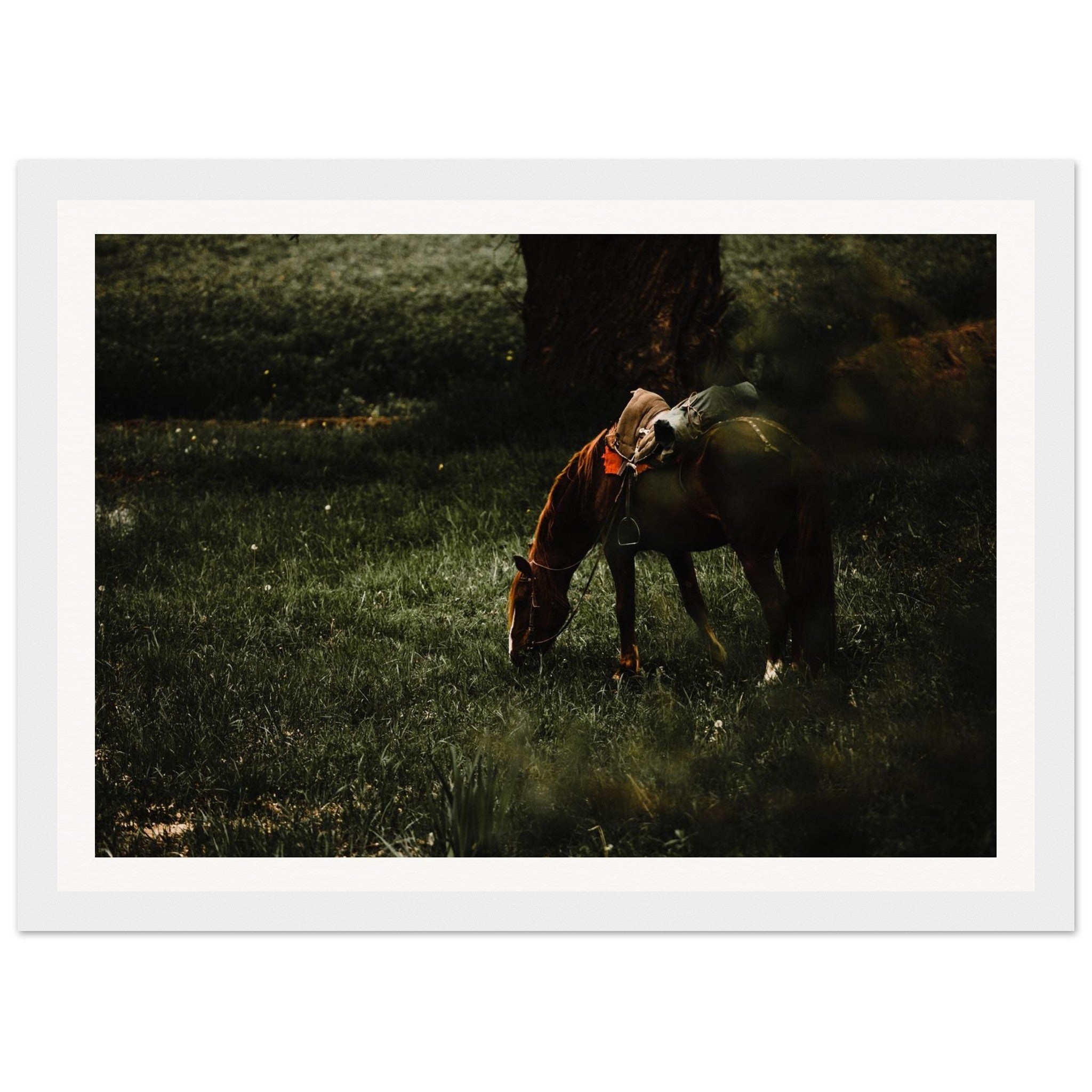 4a570e62-edd2-46cc-a4c7-b90a0b34ed55