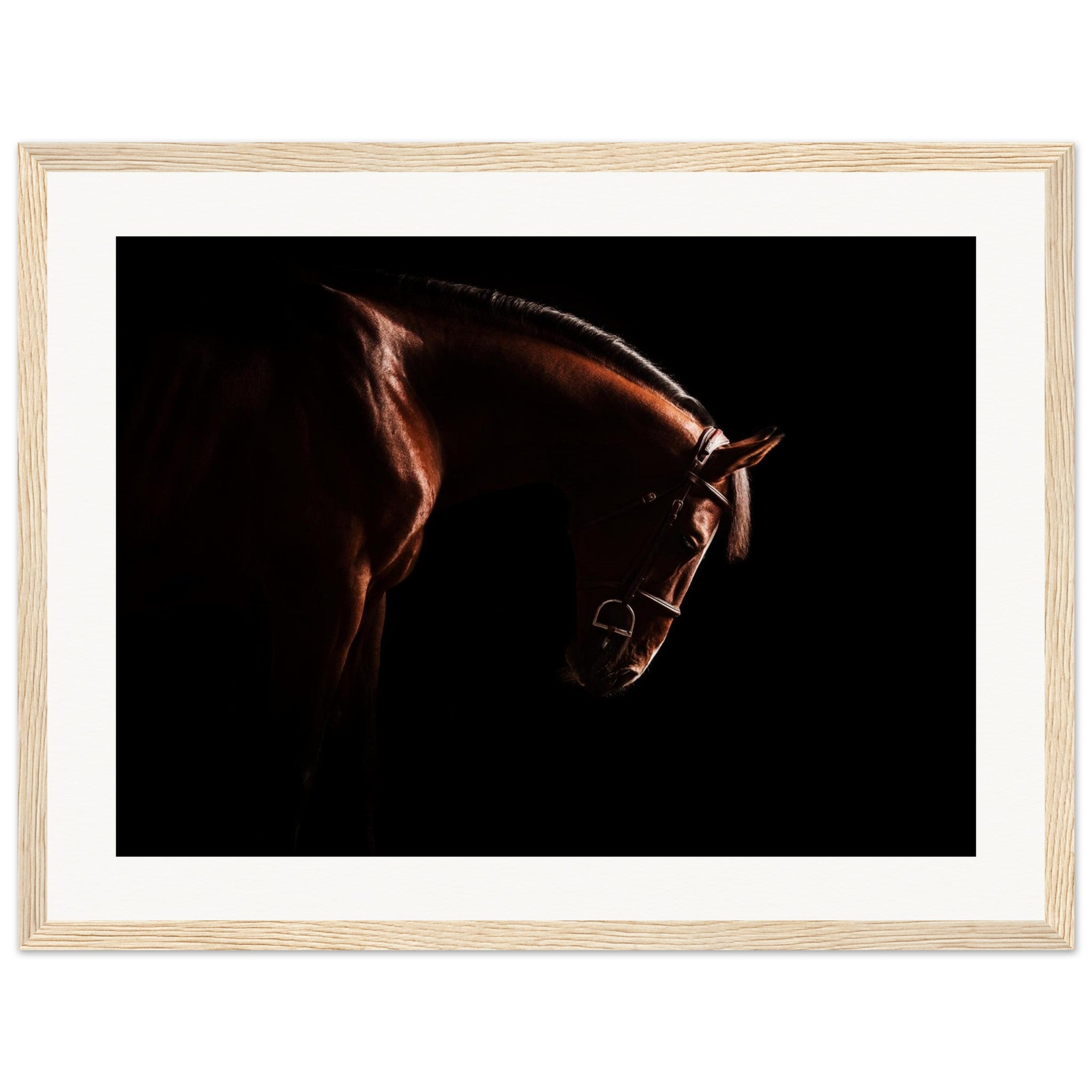 4abe55a8-ad9f-4f6c-9c89-36cb55d5a74a