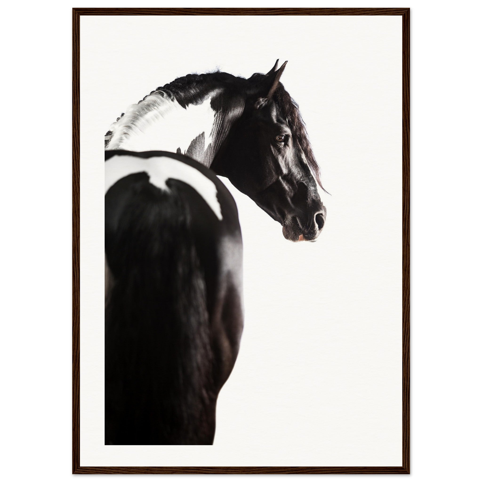 4ac4605e-343c-4d9a-96b7-bdac61659dd3