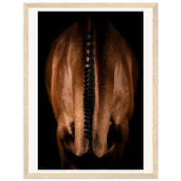 4add3c95-9277-4404-aa89-6964f6a0aa42