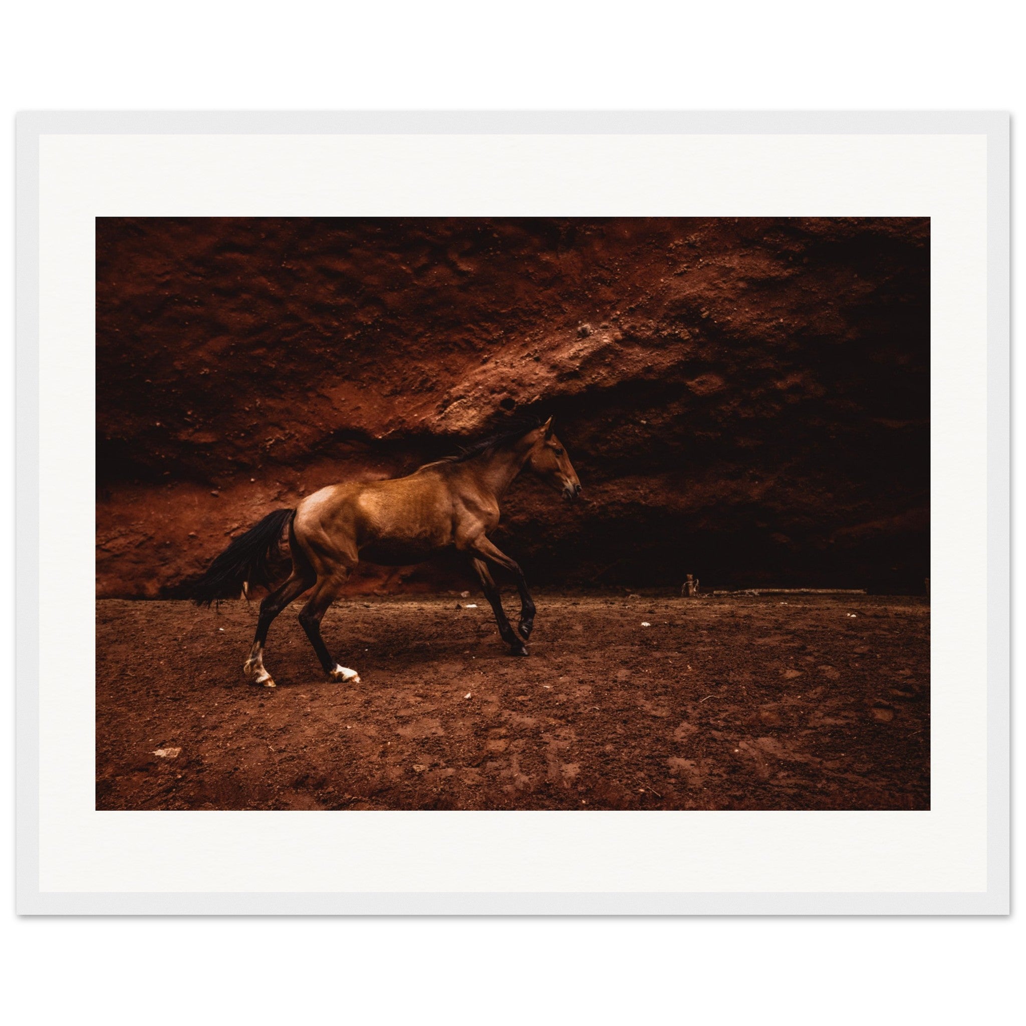 4b173402-cce4-414e-bfd4-dd648340aff2