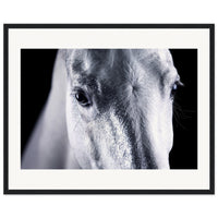 4b2b9856-c1fc-42d0-96a4-116aafa3e621