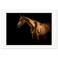 4b73dd67-6843-42c7-8f57-6cca7c0ab7c3