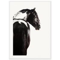 4b9e31bb-7ada-46bf-b5b6-3d913317ac77